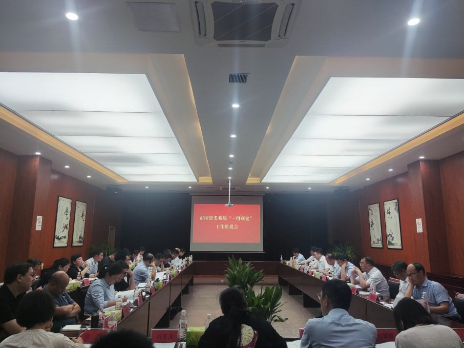 2024年7月17日，市國資委系統(tǒng)在公司開展“三組聯(lián)建”現(xiàn)場觀摩（推進(jìn)會(huì)）_副本